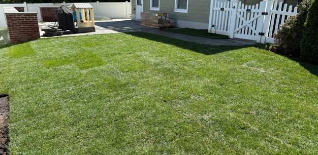 Front yard landscaping renovation after