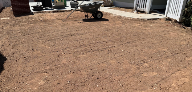 Front yard landscaping renovation before