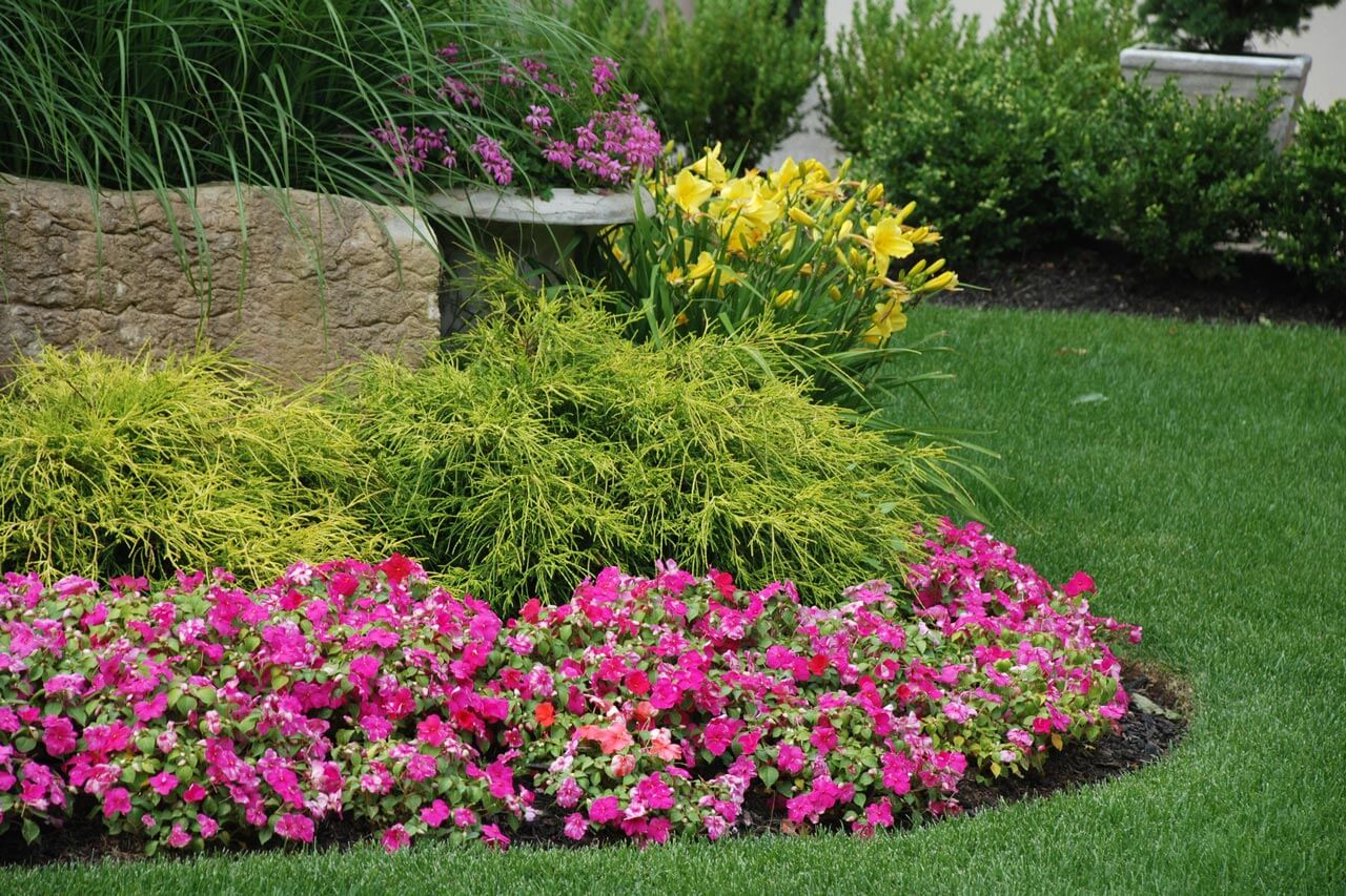 The Complete Guide to Mulching in North Louisiana